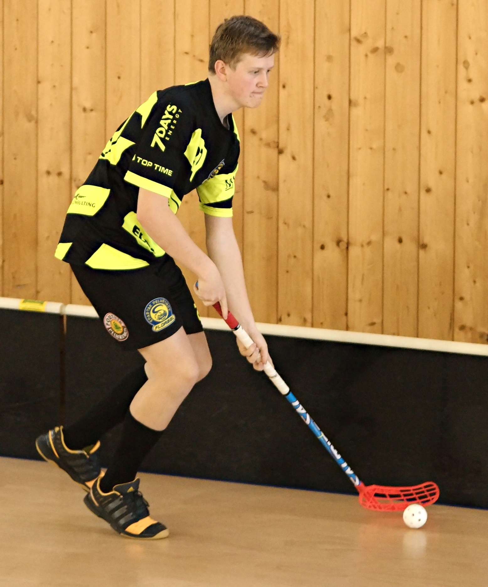 JunciLedec241015 094